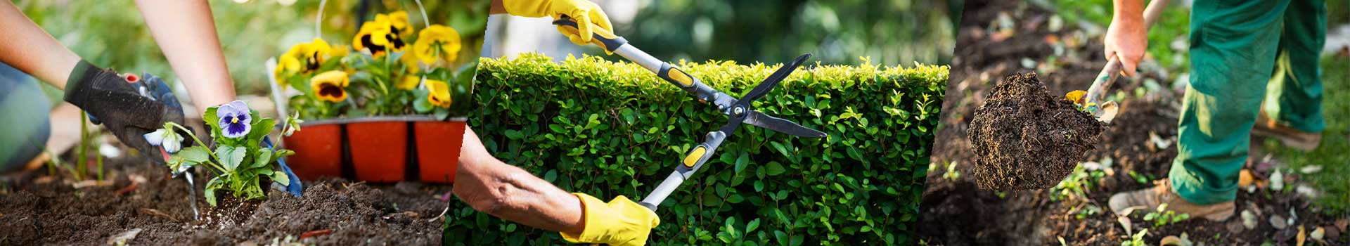 Horticulture Services