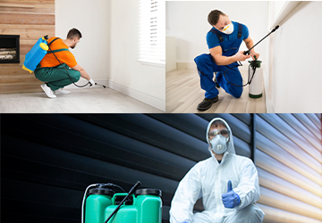 Pest Control Services